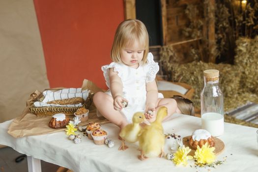 A little girl is sitting on the Easter table and playing with cute fluffy ducklings. The concept of celebrating happy Easter