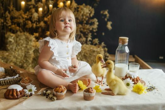 A little girl is sitting on the Easter table and playing with cute fluffy ducklings. The concept of celebrating happy Easter