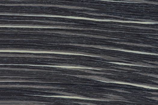 Texture of wood with stripes. Texture of natural African wood with zebra pattern. High resolution photo of a black board