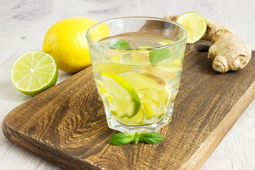 Organic Ginger Ale Soda in a Glass with Lemon and Lime.