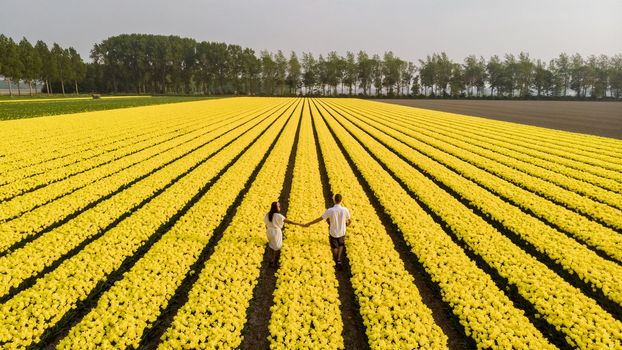 Drone aerial view from above couple of men and woman in a tulip field, Noordoostpolder Netherlands, Bulb region Holland in full bloom during Spring, colorful tulip fields