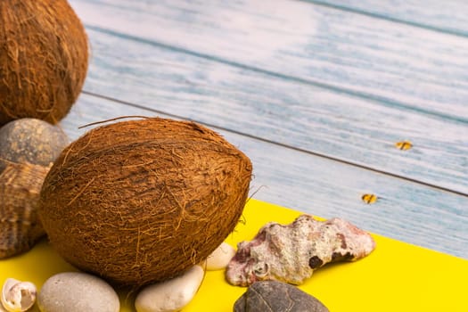 Coconuts, rocks and shells on a blue wooden background and a yellow background.Marine theme.