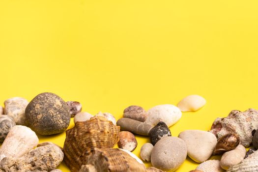 rocks and shells on a yellow background .Marine theme.