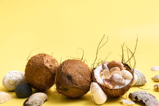 coconuts and shells on a yellow background .Marine theme.