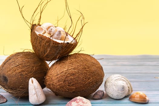coconuts and shells on a yellow and blue wooden background .Marine theme.