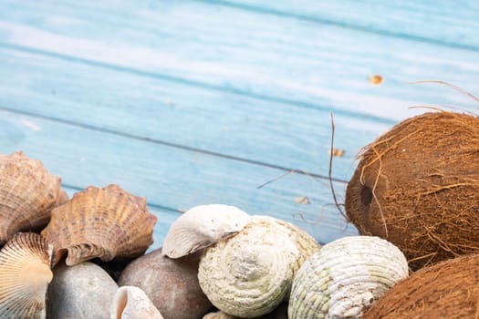 coconuts, rocks and shells on a blue wooden background.Marine theme.