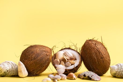 coconuts and shells on a yellow background .Marine theme.