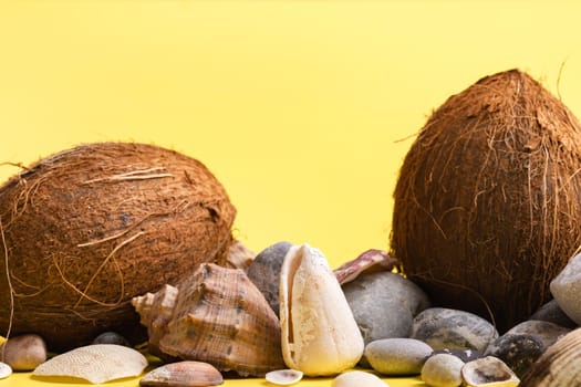 Coconuts, rocks and shells on a yellow background .Marine theme.