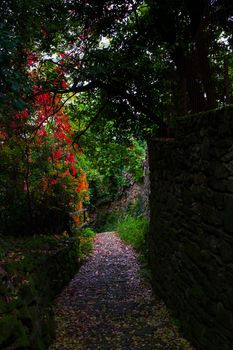 Dry stone, sometimes called drystack or drystane along the path called sentiero natura