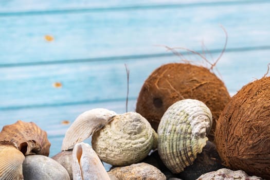 coconuts, rocks and shells on a blue wooden background.Marine theme.