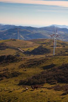 View of windmills in the Sicilian countryside. Etna volcano in the background