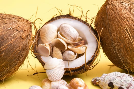 coconuts and shells on a yellow background .Marine theme.