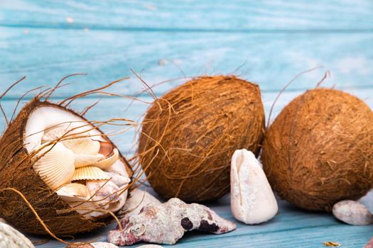 coconuts and seashells on a blue wooden background .Marine theme.