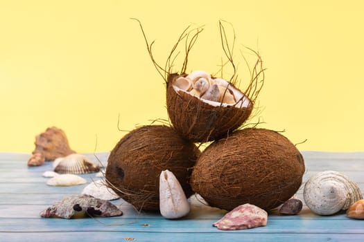 coconuts and shells on a yellow and blue wooden background .Marine theme.