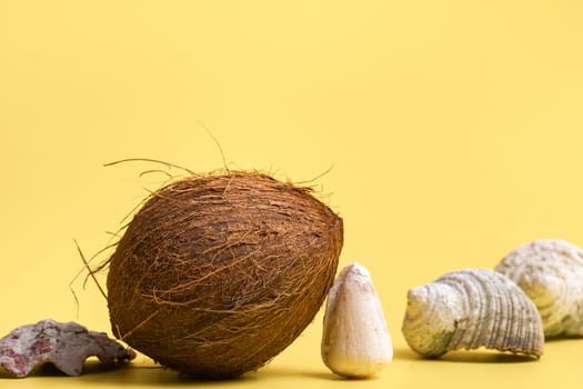 Whole Coconuts and shells on a yellow background .Marine theme.