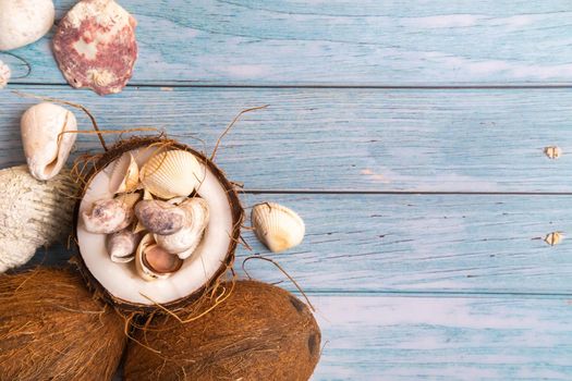 coconuts and seashells on a blue wooden background .Marine theme.