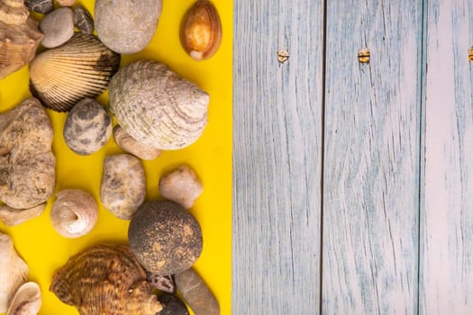 stones and shells on a blue wooden background and a yellow background.Marine theme.
