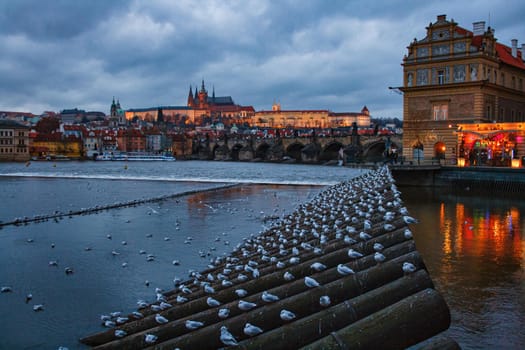 View of Prague on the Danube river in the evening, Czech Republic