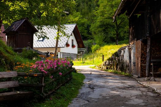 View of Slovenian chalet in Stara Fuzina little town near Bohinj, Slovenia