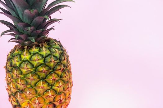 A large pineapple on a pink isolated background. Minimal style.