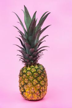 A large pineapple on a pink isolated background. Minimal style.