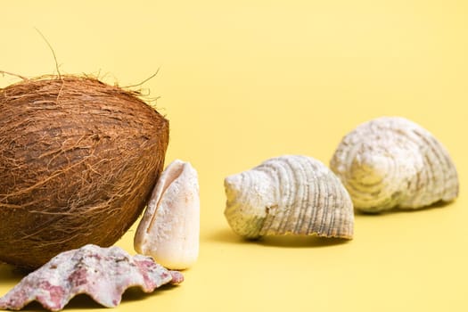 Whole Coconuts and shells on a yellow background .Marine theme.