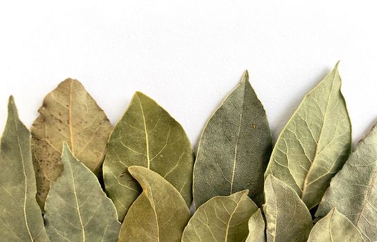 Texture, background. Dry bay leaf on a white background, seasoning.