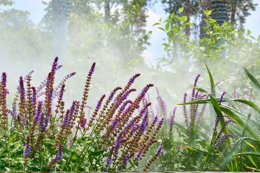 the supply of water to land or crops to help growth, typically by means of channels.