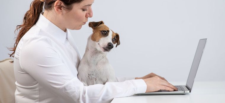 Caucasian woman working at laptop with dog jack russell terrier on her knees