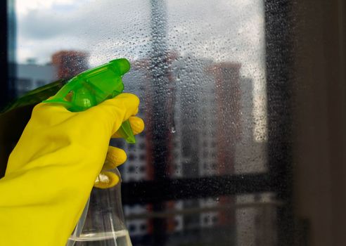 Window washing. In the photo, a hand in a rubber glove sprays from a spray bottle.