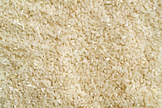 Background, texture, white rice. White rice close up.