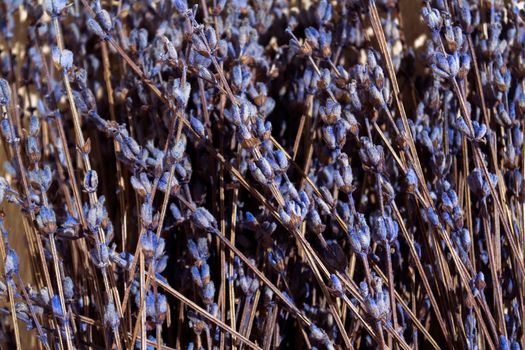 
Background, texture, dried lavender. Close-up photo of dried lavender.