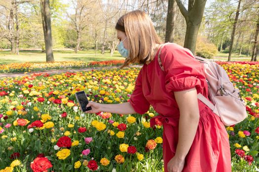 a girl blogger in a red dress and in a protective mask is photographing a flower bed with blooming tulips in the park. High quality photo