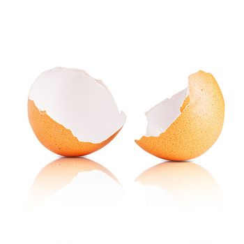 Egg shell isolated on white. Broken chicken egg shell isolated on white