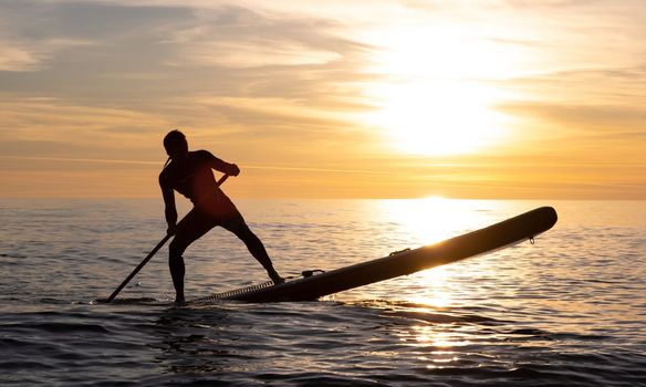 a sporty guy swims with a paddle on a sapboard in the sea under the beautiful sunset sun