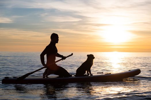 sporty guy swims with a dog on a board in the sea under the beautiful sunset sun