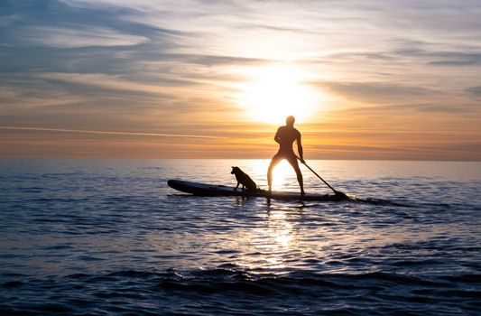 sporty guy swims with a dog on a board in the sea under the beautiful sunset sun