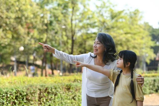 Little asian girl and grandmother pointing to something while walking in public park at sunlight morning.