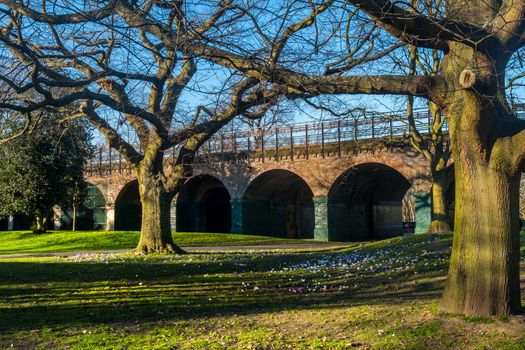 London, UK- Feb 24, 2019 : View in the park with falling leaves and green grass, afternoon walk in the sunny Ravenscourt park. Autumn concept, background