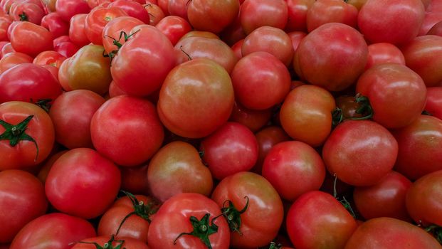 red tomatoes background. Group of tomatoes Suitable for making background images.