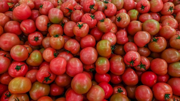 red tomatoes background. Group of tomatoes Suitable for making background images.