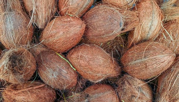 Pile of coconuts in the food market of India Suitable for making background images.