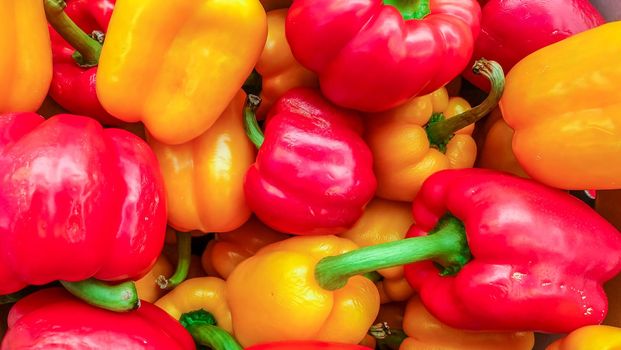 Picture of colorful yellow & red sweet pepper (Capsicum) In the market.