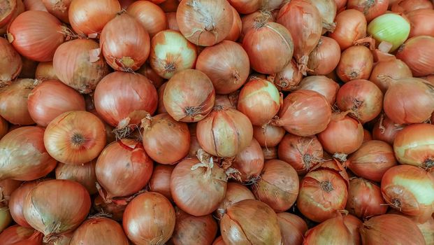 The new harvest onions at local farm market, Fresh onions. Onions background. Ripe onions.