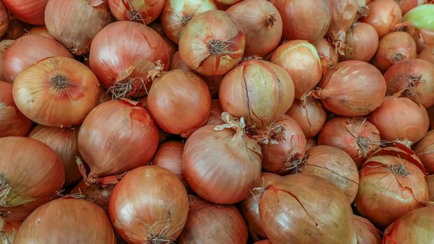The new harvest onions at local farm market, Fresh onions. Onions background. Ripe onions.