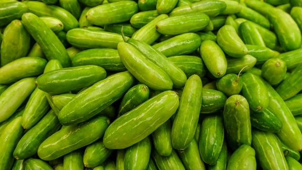 Raw Green Organic Tindora suitable for background images.