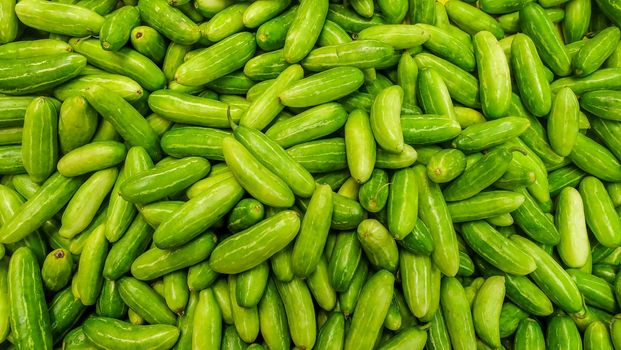 Raw Green Organic Tindora suitable for background images.
