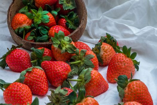 Fresh strawberries in a coconut shell on white background.