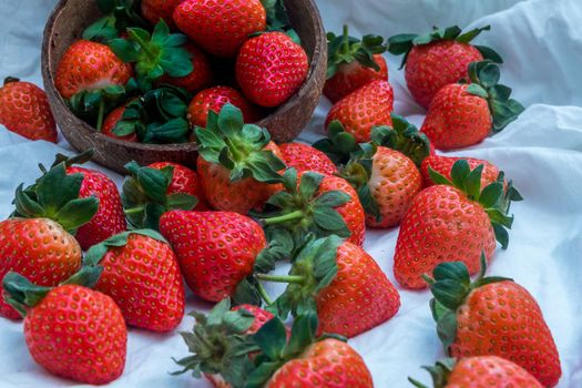Fresh strawberries in a coconut shell on white background.