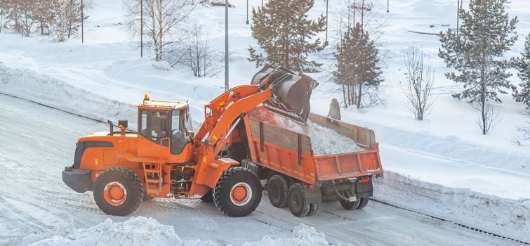 Big orange tractor cleans up snow from the road and loads it into the truck. Cleaning and cleaning of roads in the city from snow in winter. Snow removal after snowfall and blizzards.